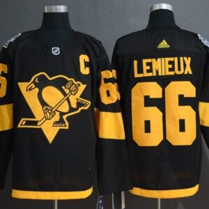 Penguins 66 Mario Lemieux 2019 Stadium Series Black Men Jersey