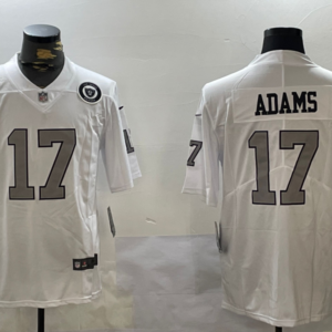 Nike Raiders 17 Davante Adams White Team Logo Vapor Limited Men Jersey