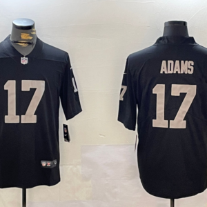Nike Raiders 17 Davante Adams Black Vapor Limited Men Jersey