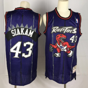 Raptors 43 Pascal Siakam Purple Hardwood Classics Men Jersey