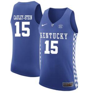 NCAA Kentucky Wildcats 15 Willie Cauley-Stein Blue Basketball Men Jersey